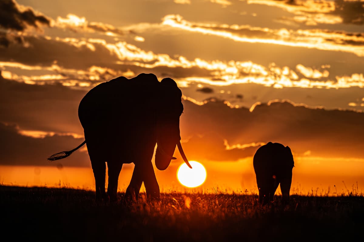 Gallery placeholder image 8