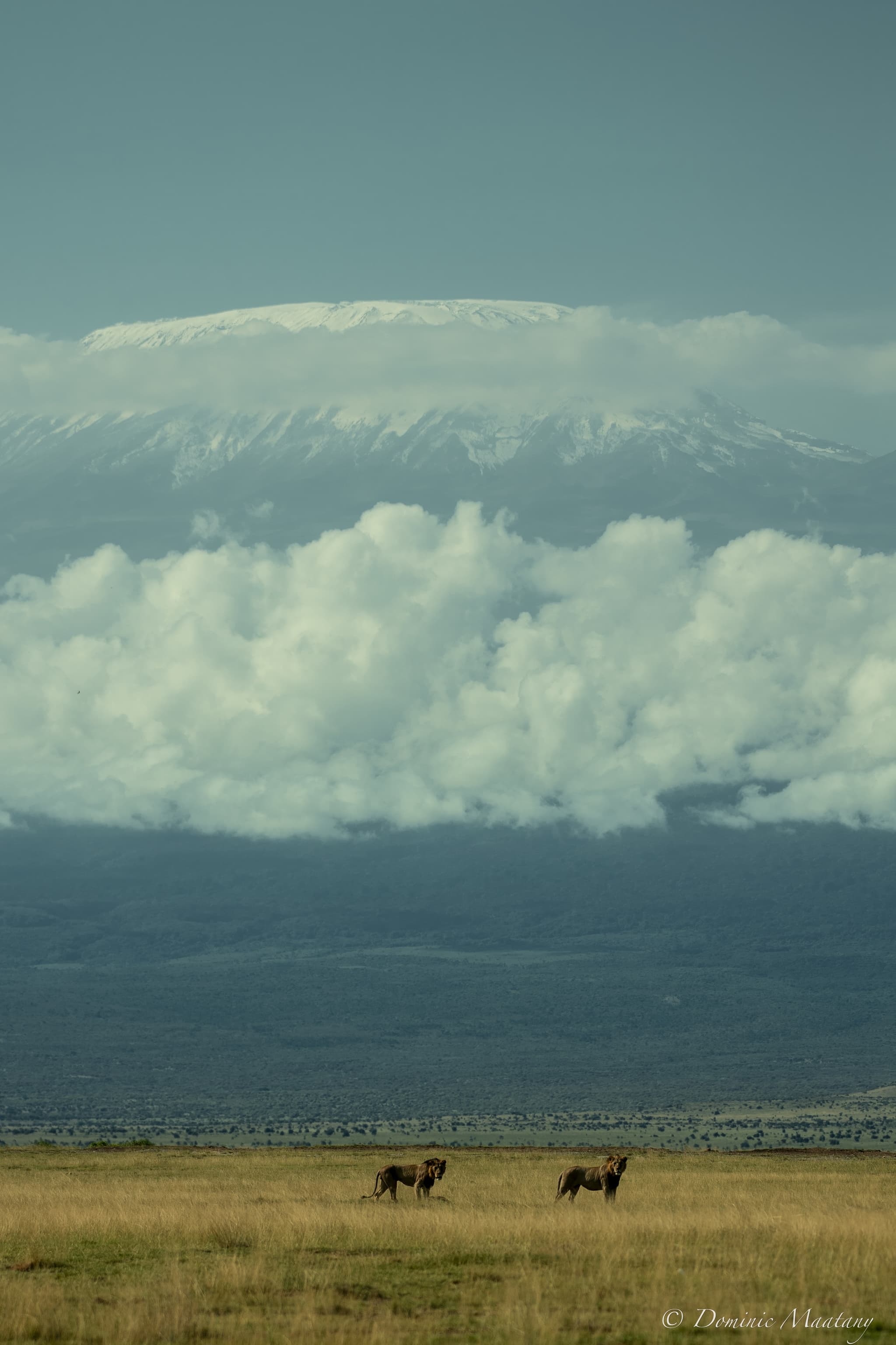 Experiences Across Africa and Beyond