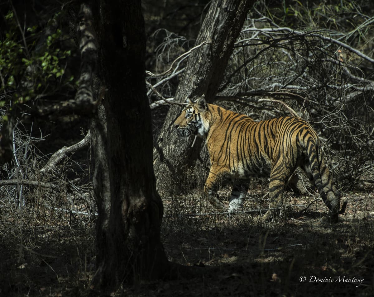 Gallery placeholder image 12