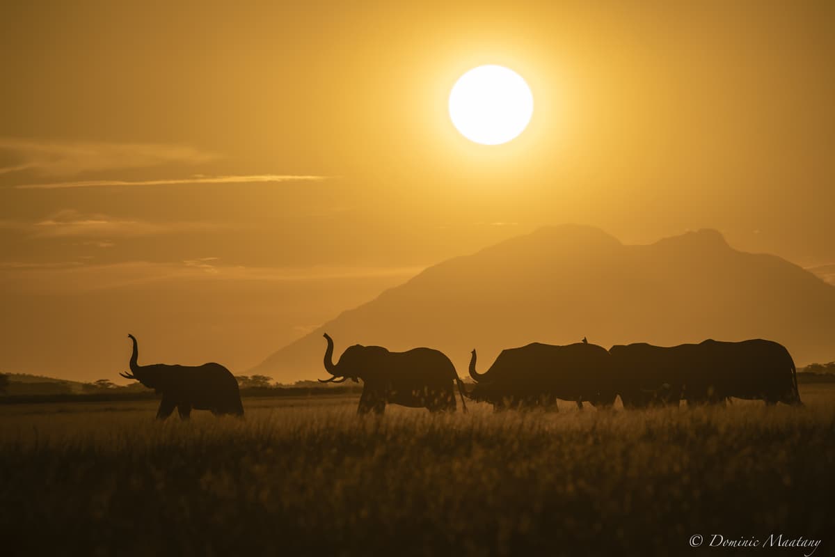 Gallery placeholder image 2