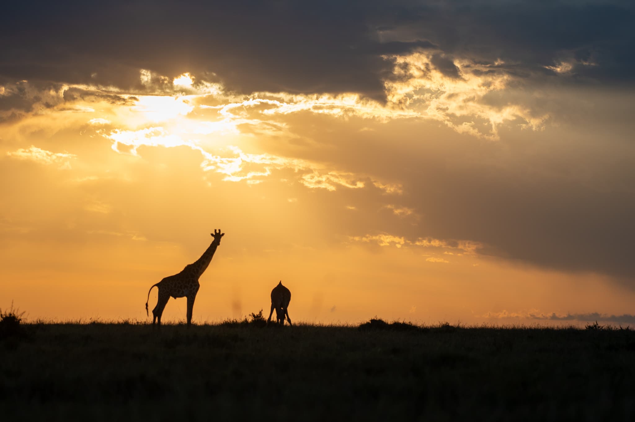 Wide horizons in northern Kenya