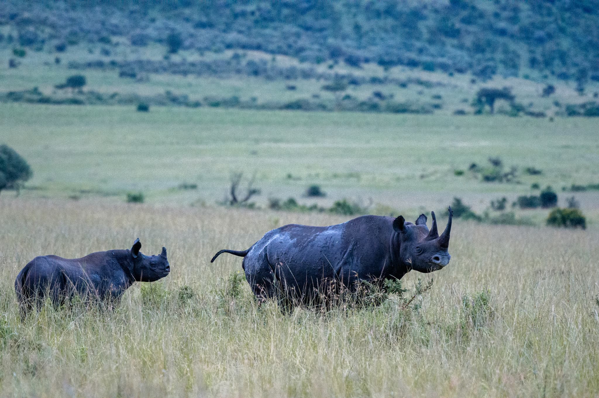 10-14 Days | Complete East Africa Journey