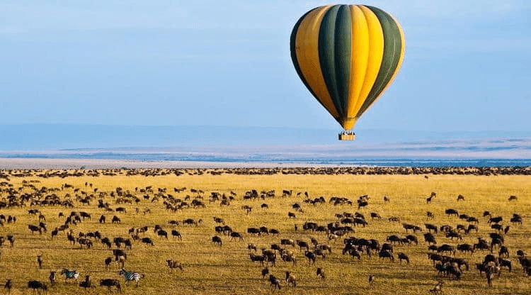 Helicopter, Horseback & Hot-Air Balloon