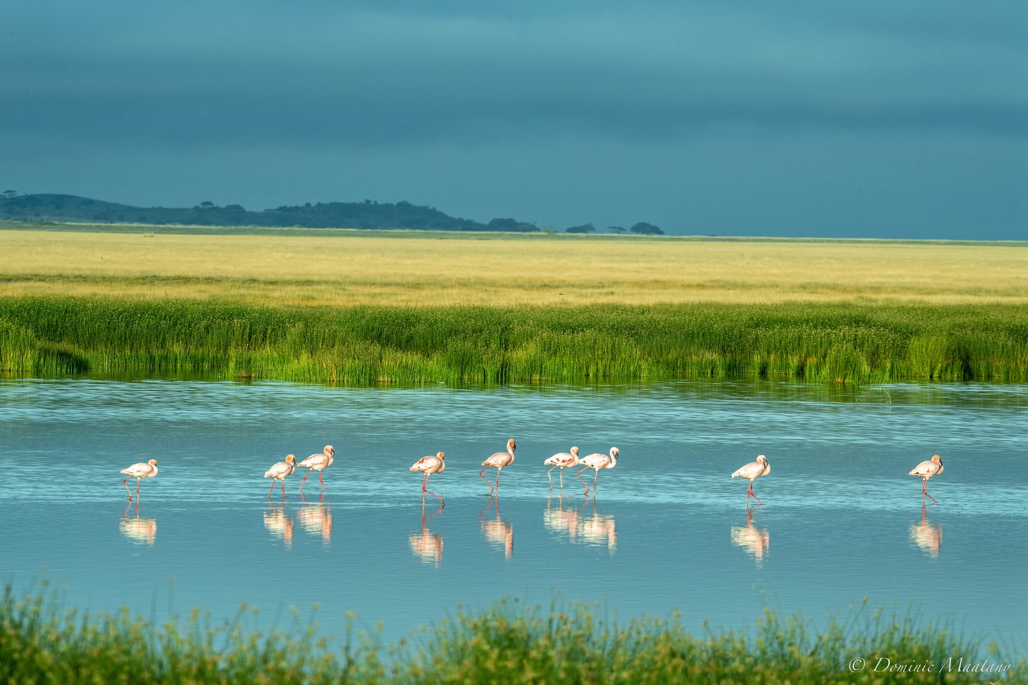 Ngorongoro Crater